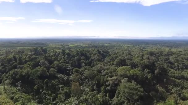 Αεροφωτογραφία Του Κολομβιανού Τοπίου Επανδρωμένη Πτήση — Αρχείο Βίντεο