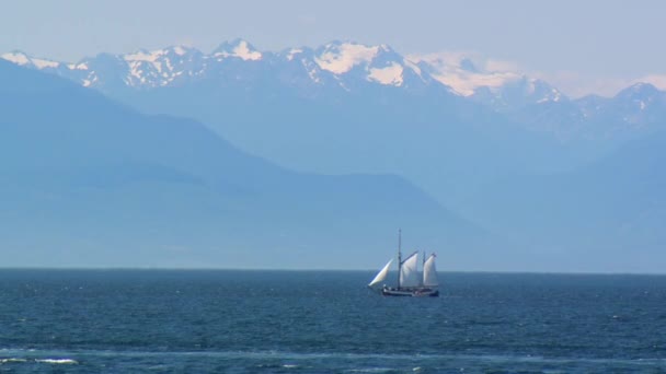 Sail Boat Victoria Deploys Dinghy Olympic Mountains Background — Stok video