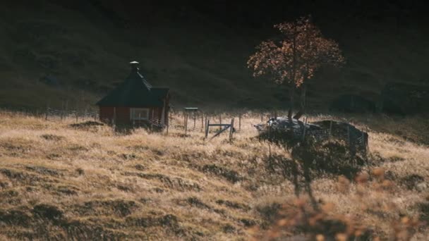 Sahada Küçük Rahat Bir Izgara Kulübesi Rüzgarda Sallanan Kuru Otlar — Stok video