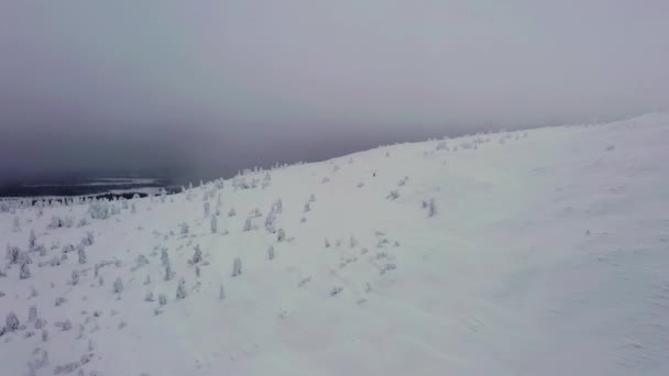 Aerial View Overlooking Foggy Fell Snowy Trees Cloudy Lapland Tracking — Vídeos de Stock