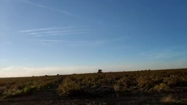 Bewegend Zicht Horizon Bij Zonsondergang Vanuit Een Auto Die Snelweg — Stockvideo