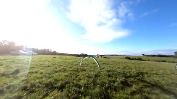 Fpv Drone Volando Campo Hierba Con Puertas Arco Durante Competencia — Vídeo de stock