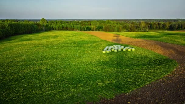 Aerial Time Lapse Shot Agricultural Fields Surrounded Forest Sunny Day — Vídeo de Stock