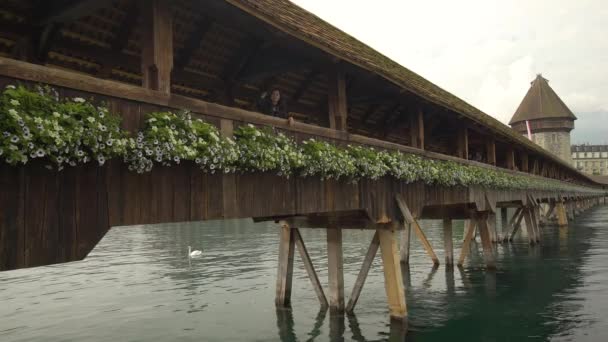 Woman Chapel Bridge Lucerne Switzerland Static View Low Angle — Stock Video