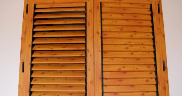 Detail Faux Wood Shutters Made Aluminium Exterior Modern Structures Tilt — Stock video