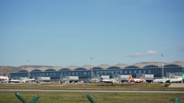 Letadla Společnosti Transavia Pojíždějí Letišti Alicante — Stock video