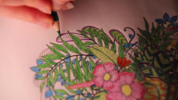 Person Coloring Illustrative Detailed Pattern Stress Relieve Adults Hand Details — Video Stock