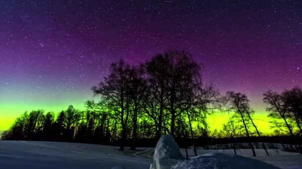 Time Lapse Spectacular Colorful Night Sky Many Moving Stars Glowing — стоковое видео