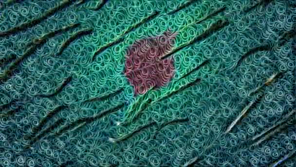 Анимация Стаи Рыб Плавающих Поверхностью Моря Фоне Солнца Концепция Цифрового — стоковое видео