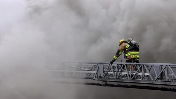 两名消防员沿着一个延伸的梯级走向浓密的黑暗烟雾从一个燃烧的家 — 图库视频影像