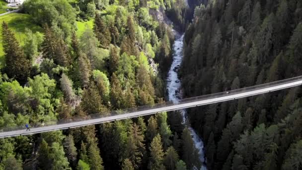 スイスのヴァレー州のローヌ川渓谷の上をハイカーで歩くと 川や木の上に高いゴムス吊り橋と一緒に空中の景色 — ストック動画