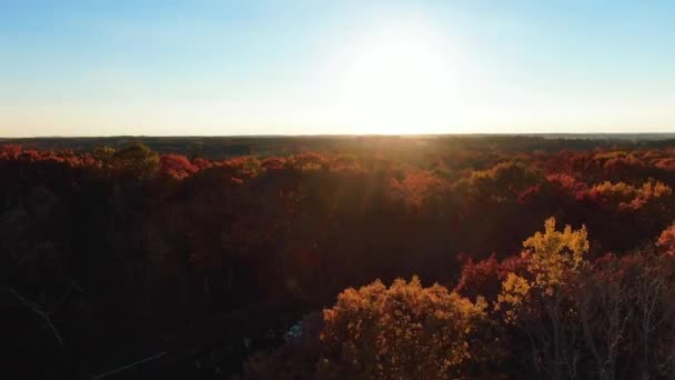 Belo Pôr Sol Sobre Uma Floresta Dourada Durante Outono Wisconsin — Vídeo de Stock