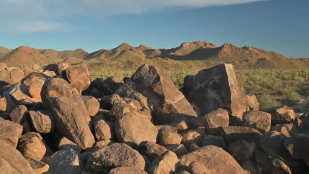 Αρχαία Πετρογλυφικά Στο Signal Hill Στο Εθνικό Πάρκο Saguaro Στην — Αρχείο Βίντεο