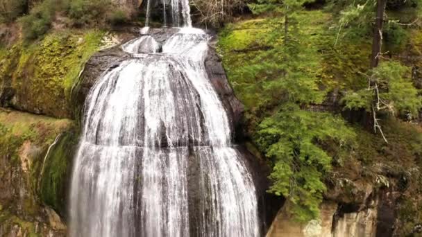 Silver Falls Όρεγκον Coos County Καταρράκτη Αργή Κίνηση Drone Φθίνουσα — Αρχείο Βίντεο