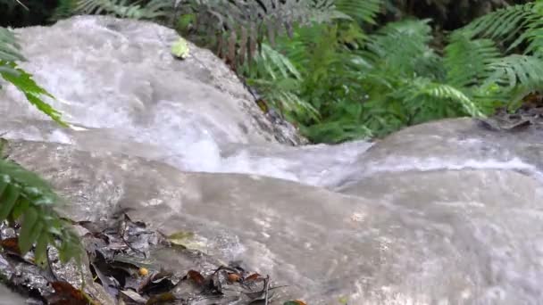 Water Flow Namtok Bua Tong Sticky Waterfall Northern Thailand Static — Vídeo de Stock