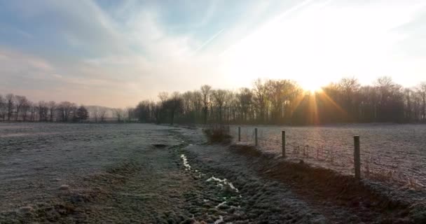 Stream Meadow Pasture Winter Frost Sunrise Water Reflects Sunlight Soil — стоковое видео