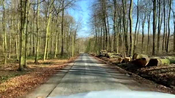 春の間にチラシの森の木々の間の農村道路上の車のドライブのポフショット 森の中で青い空と太陽の下でスローモーションショット — ストック動画