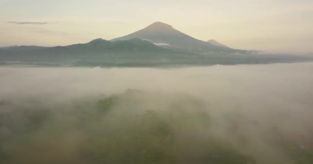 Payaman Köyünden Dağ Manzaralı Secang Magelang Sindoro Sumbing Mountain Hava — Stok video