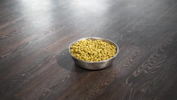 Zooming Shot Bowl Chickpeas Dog Food Dark Wooden Floor — Vídeo de stock