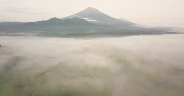 Mountain Clip Dense Fog Aerial Drone View Sindoro Sumbing Mountain — Wideo stockowe
