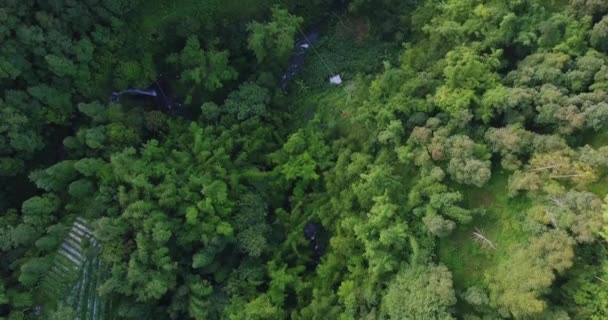 Aerial Drone View Dense Forest Meandering River Dense Vegetation Village — Stockvideo