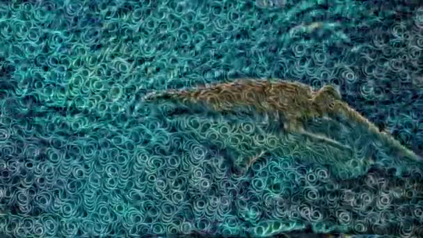 鲨鱼在海面下游泳的计算机图形化动画 数字艺术概念 — 图库视频影像
