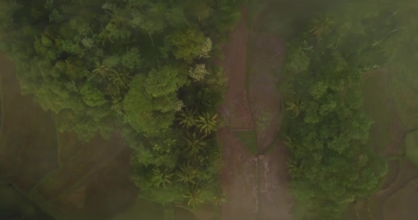 Aerial Drone View Dense Forest Meandering River Dense Vegetation Village — Wideo stockowe