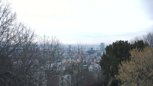 Vue Panoramique Ville Bratislava Slovaquie Sur Cime Des Arbres Hiver — Video