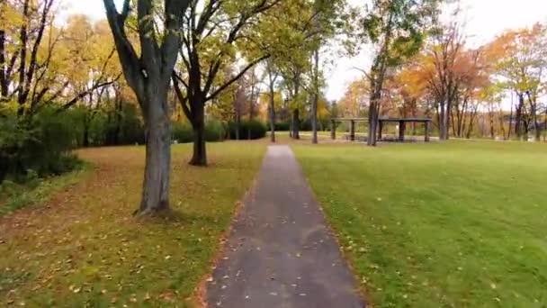 Ein Spaziergang Park — Stockvideo