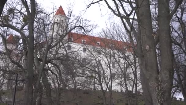 Bratislava Castle Hill Leafless Tree Branches Slovakia — 비디오