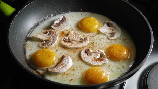 Frying Eggs Champignon Mushrooms Pan Seasoned Salt Pepper Cayenne Powder — Video Stock