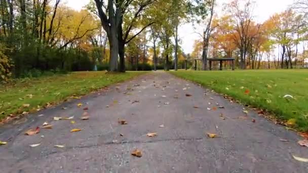 Vue Sol Sentier Bord Une Rivière Dans Wisconsin — Video