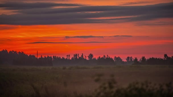 Static Shot Sunrise Clouds Fog Covered Green Field Timelapse — Stock Video