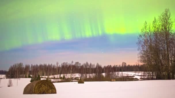 Niski Kąt Ujęcia Spektakularnych Zorzy Polarnych Zorza Polarna Wystawie Timelapse — Wideo stockowe