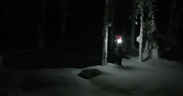 Aerial View Woman Walking Deep Snow Middle Dark Woods Lapland — Stok video