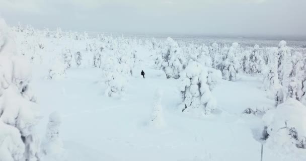 Aerial View Snowy Trees Girl Snowshoe Walking Cloudy Lapland Low — стокове відео