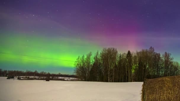 Low Angle Shot Northern Lights Aurora Borealis Display Night Sky — Vídeos de Stock