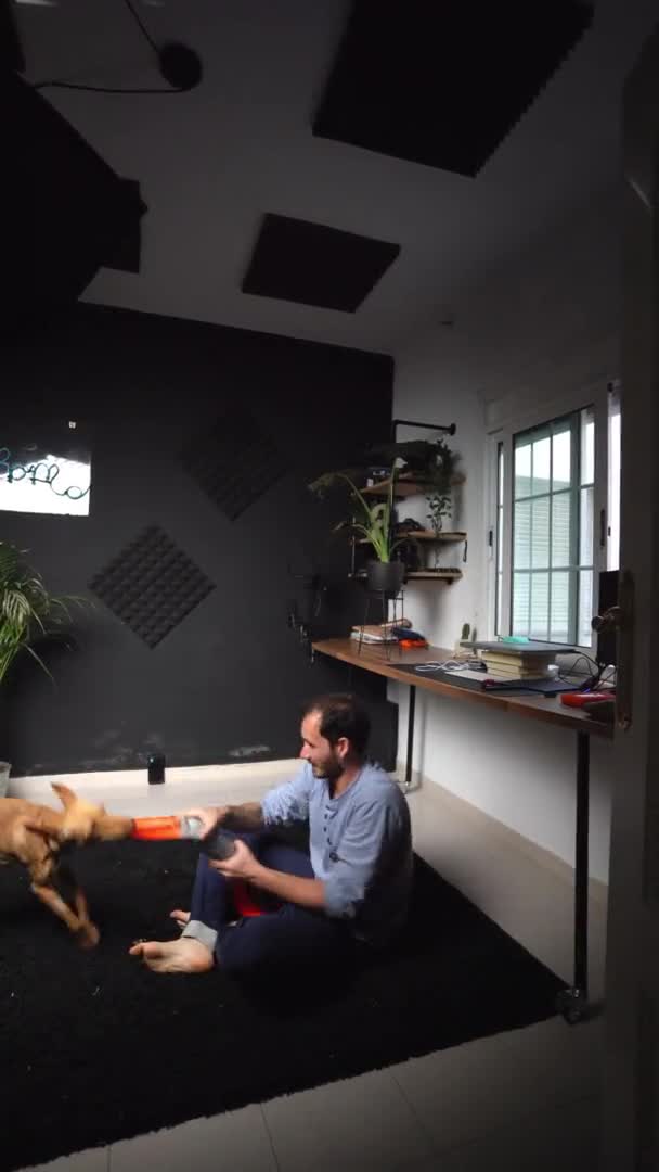Сучасна Квартира Vertical Якій Білий Чоловік Грає Своєю Собакою Вдома — стокове відео