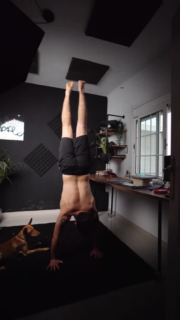 Vertical Young Fitness Athletic Caucasian Male Try Handstand Home Daily — Stock Video