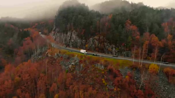 停在路边的白色大卡车 交通拥挤 雾蒙蒙的森林 无人驾驶飞机 — 图库视频影像
