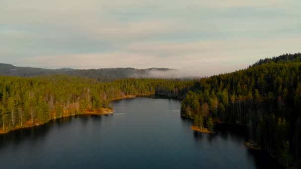 Virgin Forests Surround Shore Norwegian Lake Steinbruvann Aerial View — стоковое видео