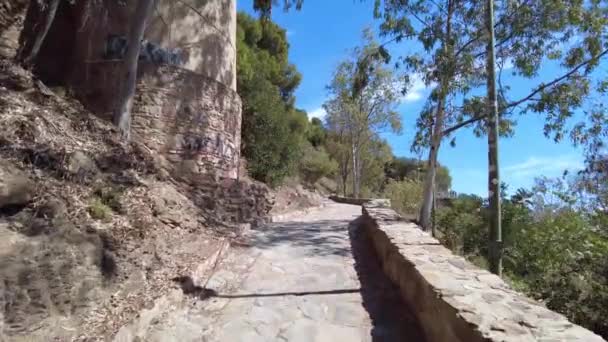 在马拉加郊外一条狭窄的路上往上走 路边有一堵石墙 西班牙马拉加著名的卡斯蒂略 直布罗陀法罗城堡周围公园内的树木和灌木丛 — 图库视频影像