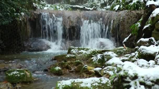 Relaxing Snowy Mountain Stream Scenario Green Leaves Covered Snow Steady — Vídeos de Stock