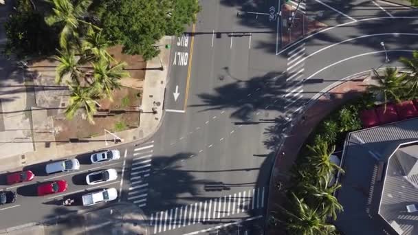 Quartier Banlieue Honolulu Vue Dessus Drone Voitures Scène Rue — Video