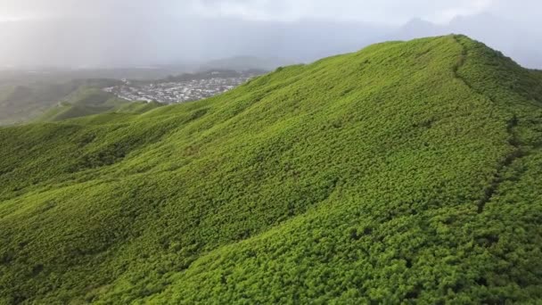 하와이 오아후 호놀룰루 항공기 이무성 도시의 — 비디오