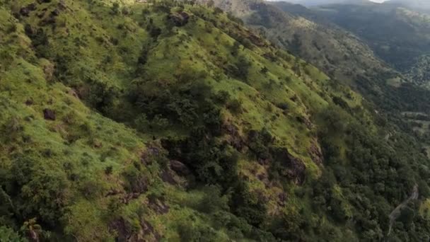 Drone Aéreo Sobre Exuberantes Montanhas Verdes Árvores Nuwara Eliya Sri — Vídeo de Stock