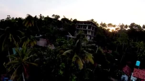 Close Rise Shot Green Tropical Trees Reveal Stunning Blue Horizon — Wideo stockowe
