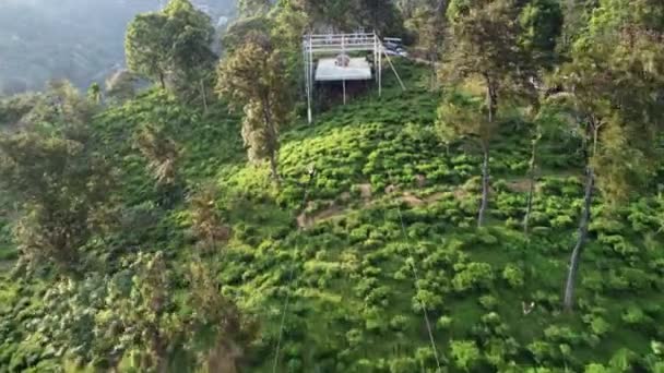 Doğadaki Uzun Güzel Yolculuk Ravana Macera Parkı Ella Sri Lanka — Stok video