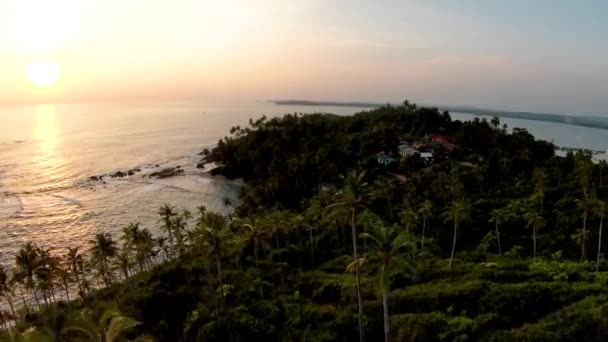 Luchtfoto Dolly Vliegen Palmbomen Dicht Groen Regenwoud Kust Zee Achtergrond — Stockvideo