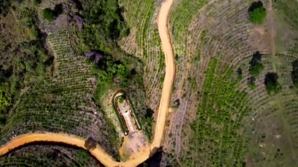 Aerial Drone Green Terraces Farm Countryside Mountains Ella Sri Lanka — Wideo stockowe